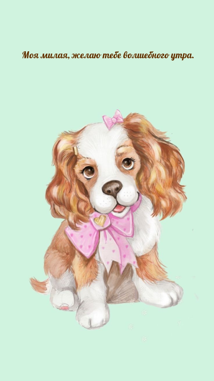 Моя милая, желаю тебе волшебного утра.