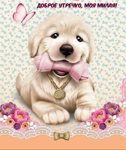 Доброе утречко, моя милая!
