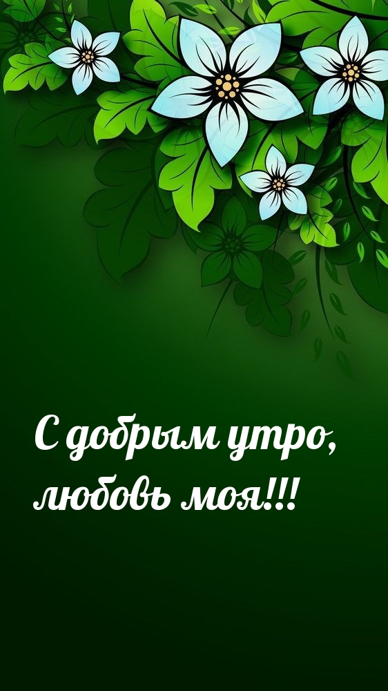С добрым утро, любовь моя!