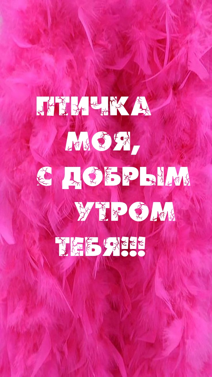Птичка моя, с добрым утром тебя!