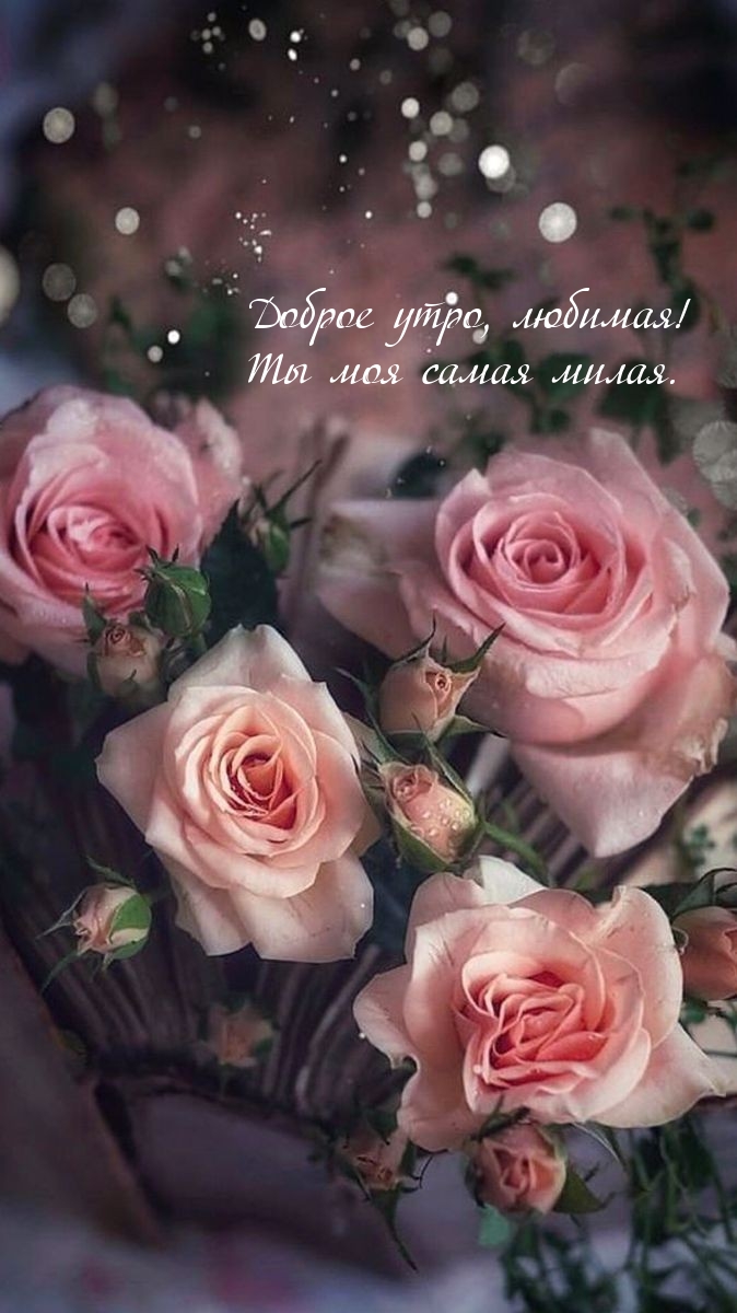 Доброе утро, любимая! Ты моя самая милая.