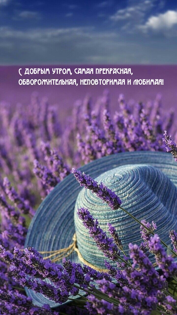 С добрым утром, самая прекрасная
