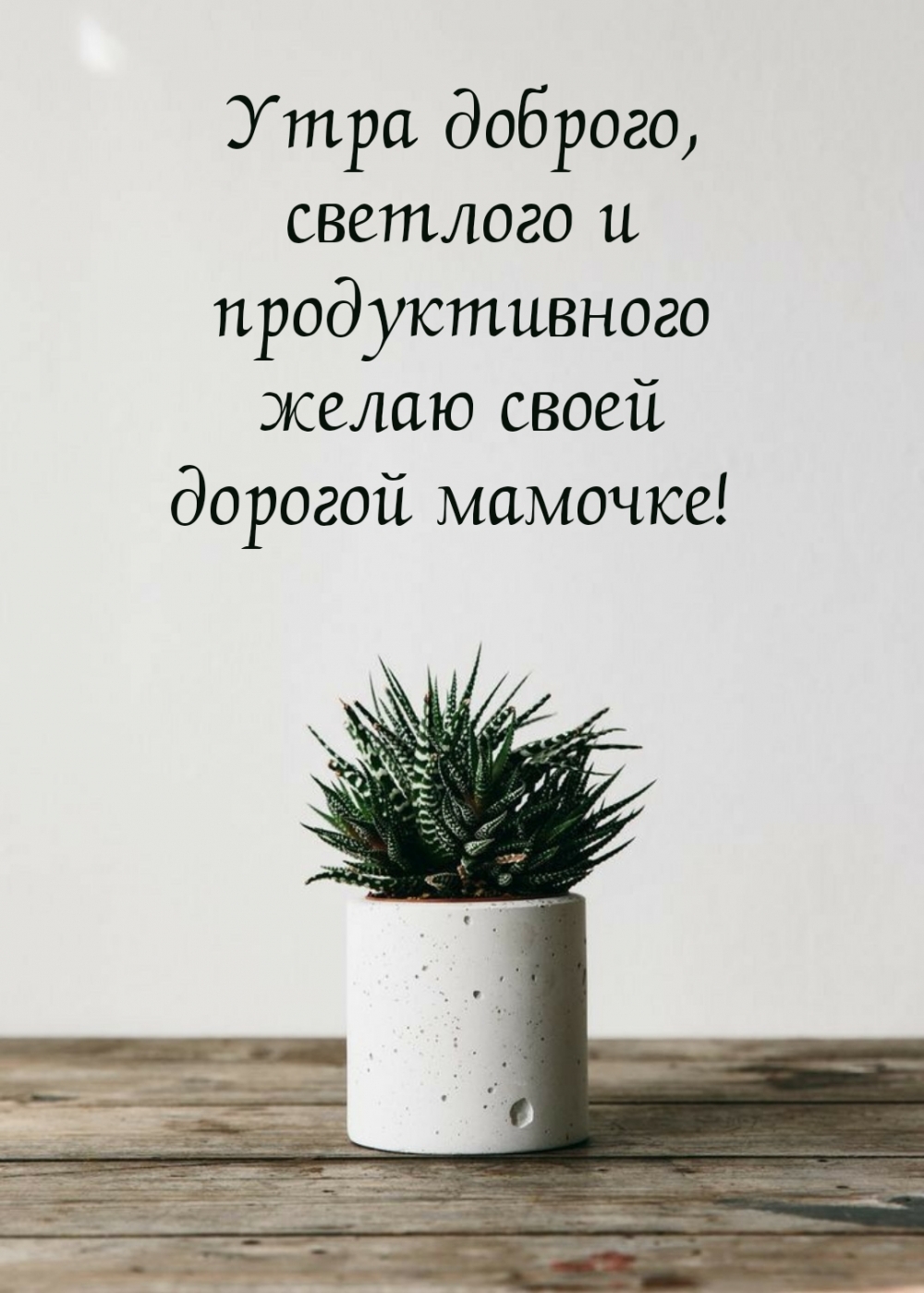 Утра доброго, светлого и продуктивного желаю своей дорогой мамочке!