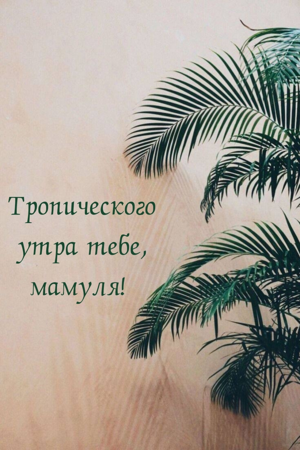 Тропического утра тебе, мамуля!