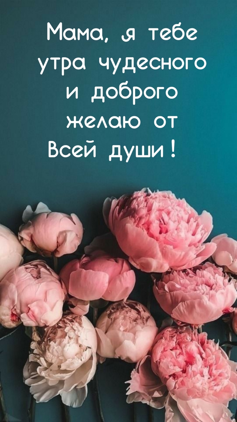 Мама, я тебе утра чудесного и доброго желаю от всей души!