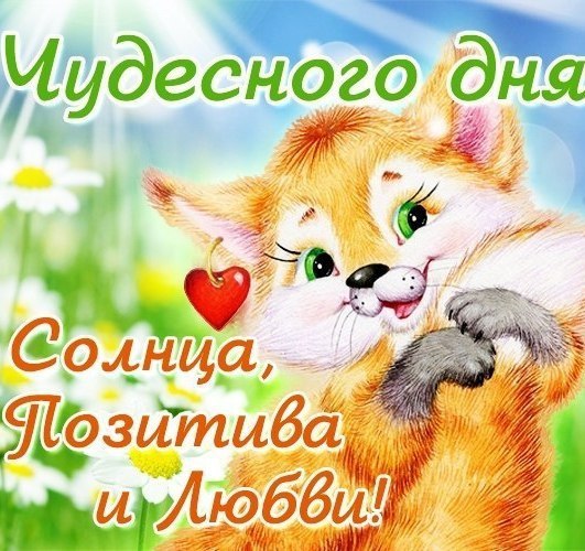 Чудесного дня, солнца позитива и любви!
