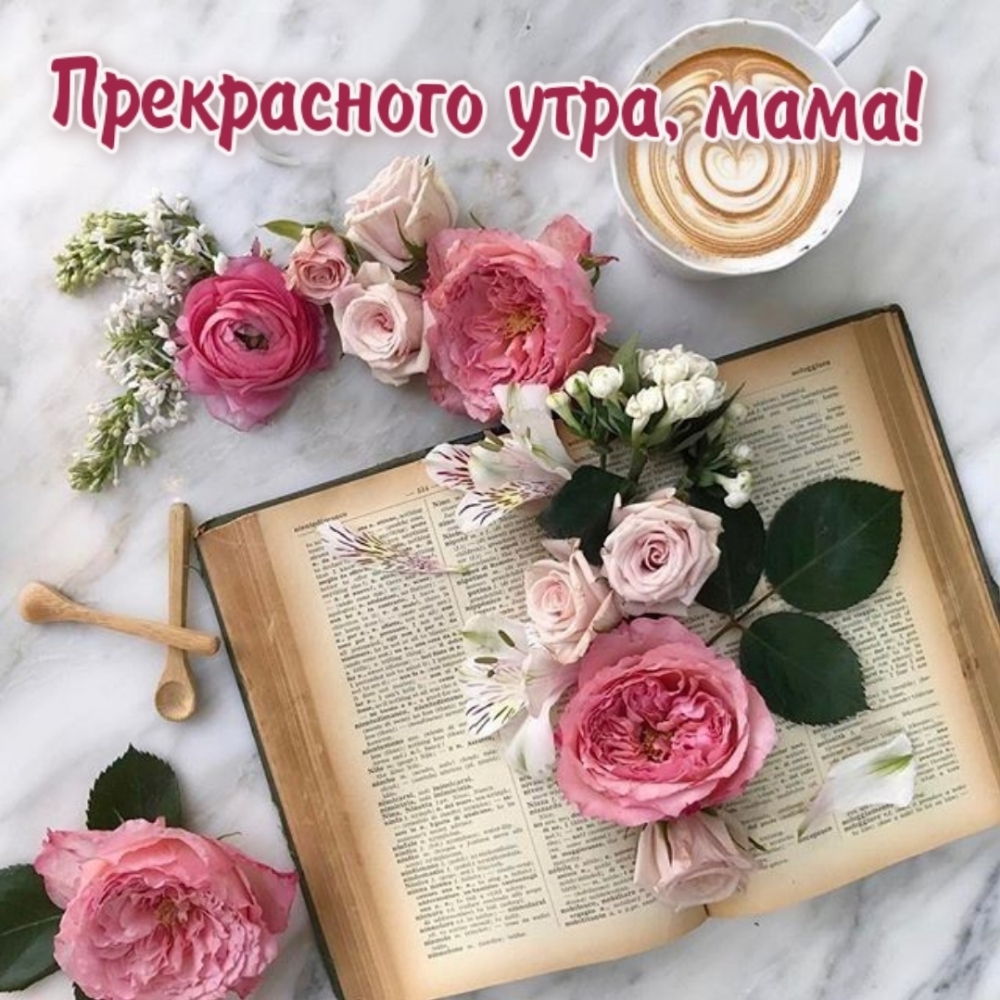 Прекрасного утра, мама!