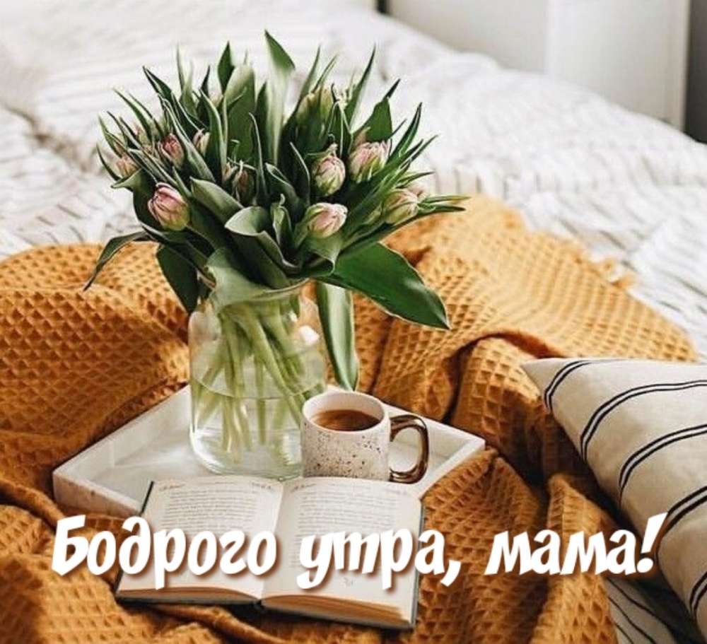 Бодрого утра, мама!