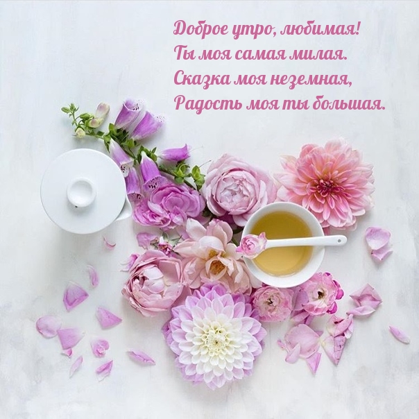 Доброе утро, любимая! Ты моя самая милая.