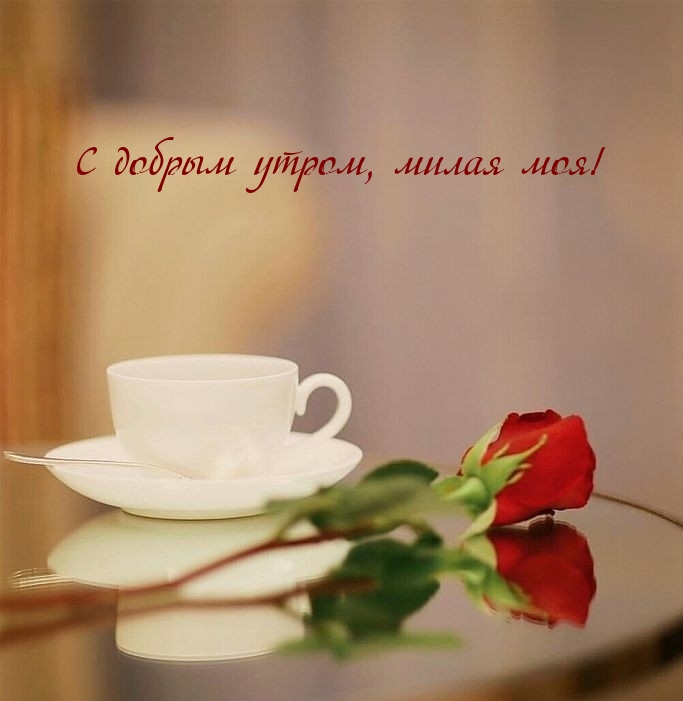 С добрым утром, милая моя!