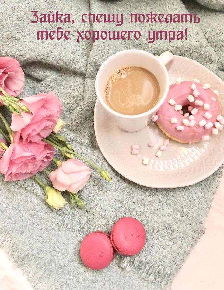 Зайка, спешу пожелать тебе хорошего утра!
