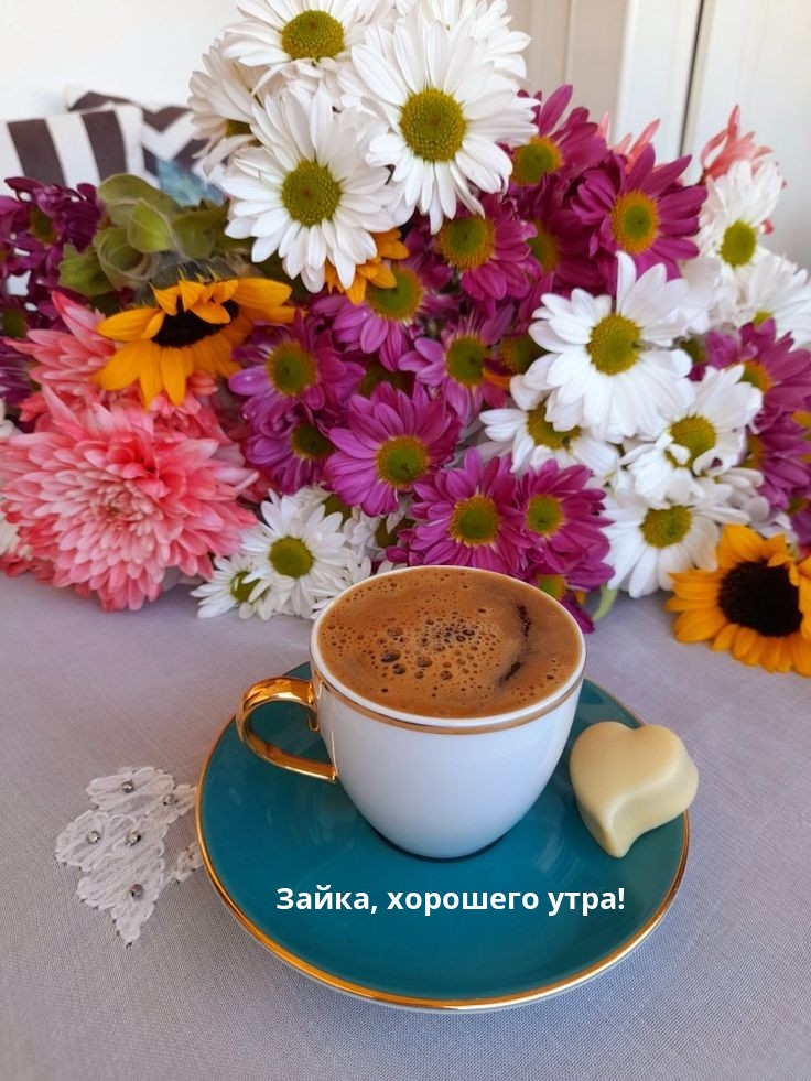 Зайка, хорошего утра!