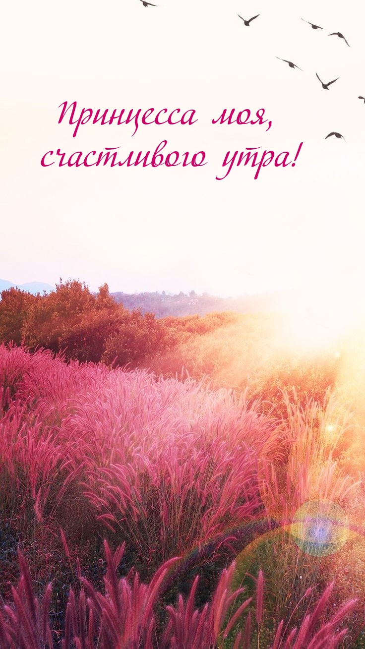 Принцесса моя, счастливого утра!