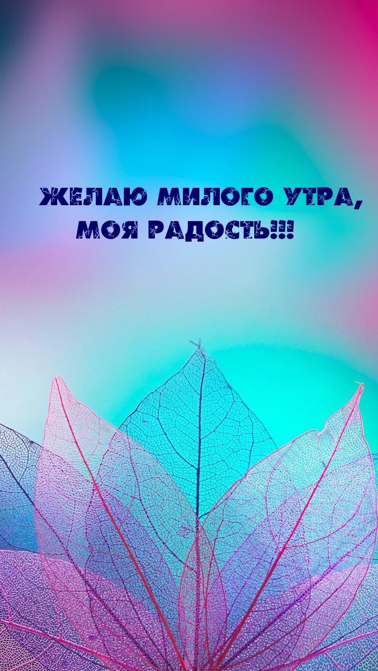Желаю милого утра, моя радость!