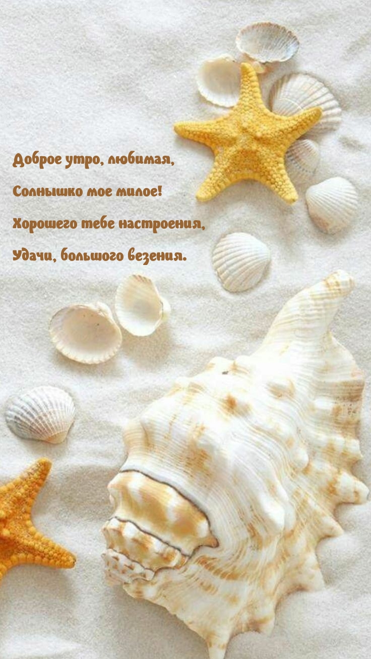 Доброе утро, любимая, солнышко мое милое!