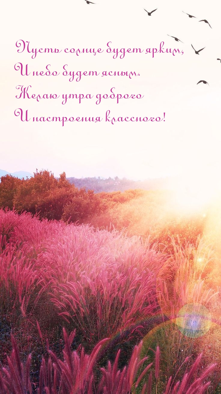 Желаю утра доброго и настроения классного!