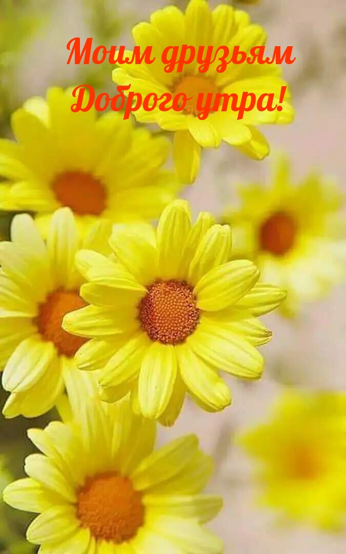 Моим друзьям Доброго утра!