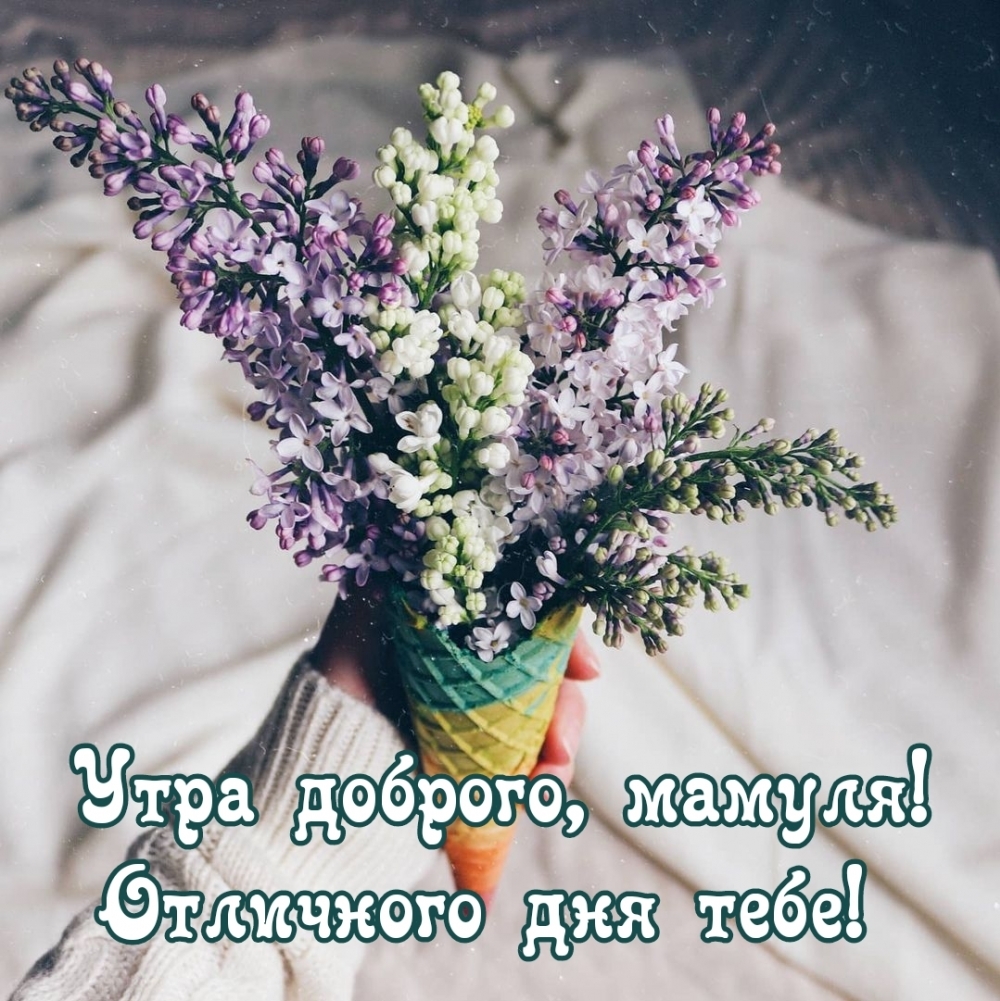 Утра доброго, мамуля! Отличного дня тебе!