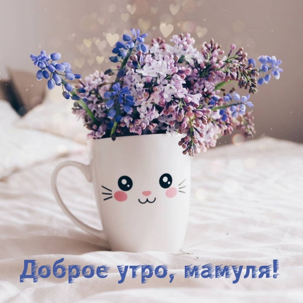 Доброе утро, мамуля!