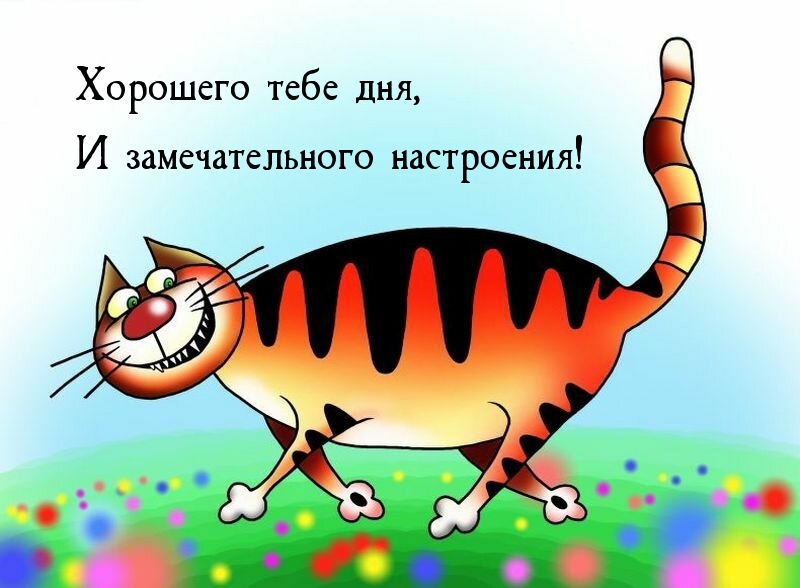 Хорошего тебе дня, И замечательного настроения!