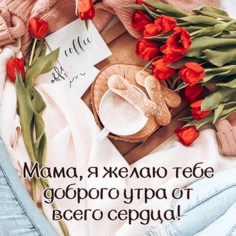 Мама, я желаю тебе доброго утра от всего сердца!