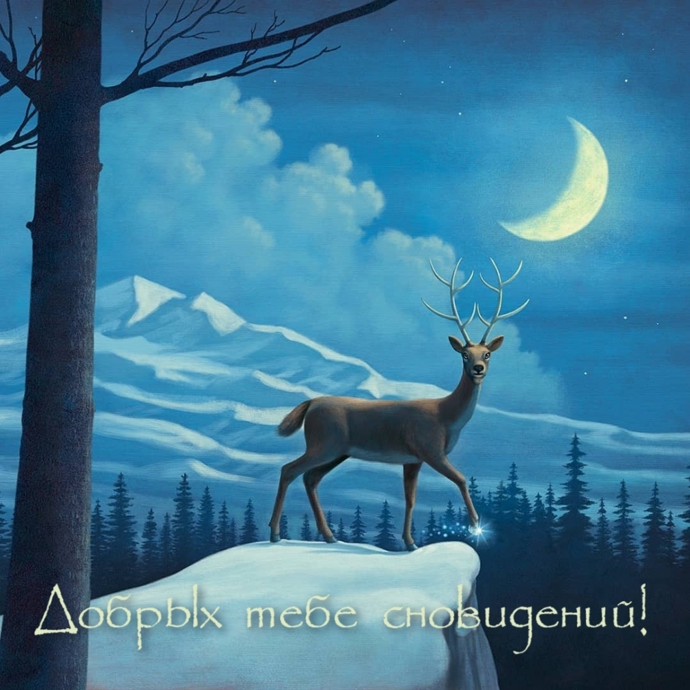 Добрых тебе сновидений!