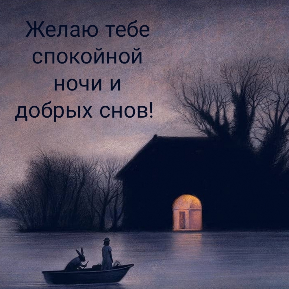 Желаю тебе спокойной ночи и добрых снов!