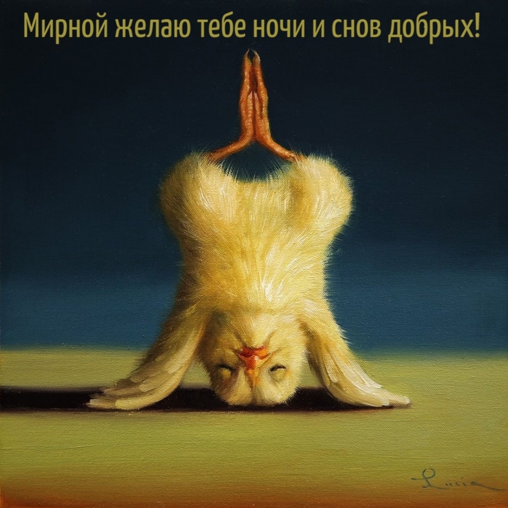 Мирной желаю тебе ночи и снов добрых!
