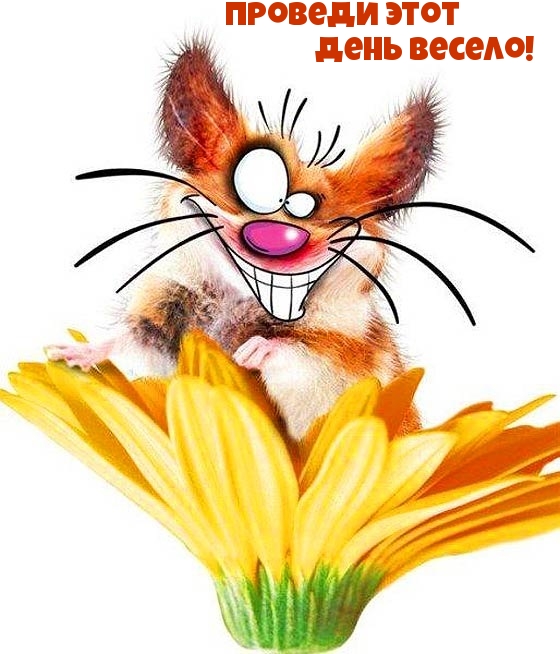 Проведи этот день весело!
