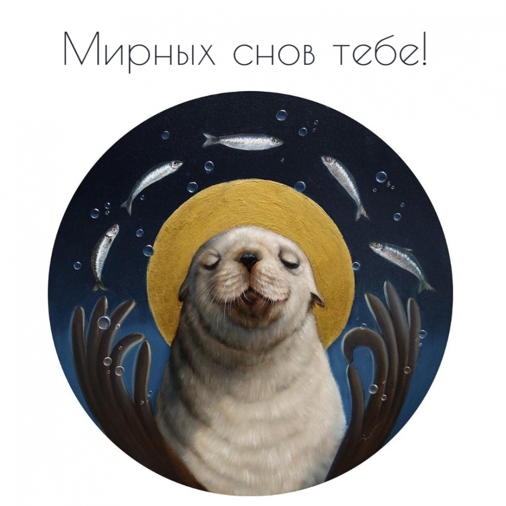 Мирных снов тебе!