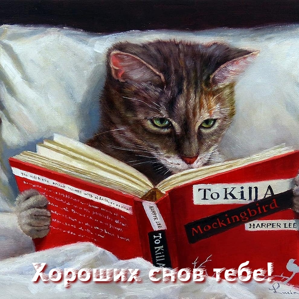 Хороших снов тебе!
