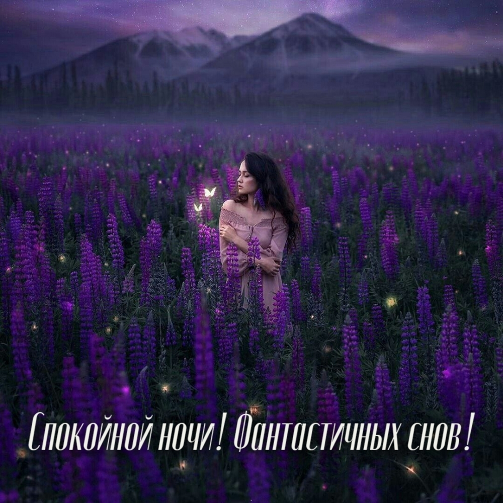 Спокойной ночи! Фантастичных снов!