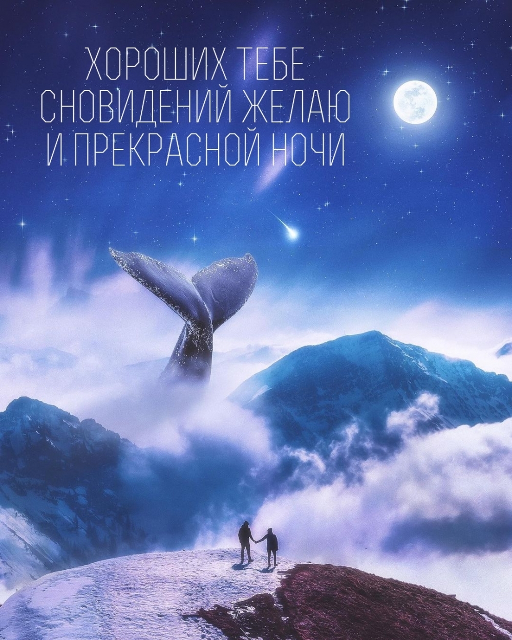 Хороших тебе сновидений желаю и прекрасной ночи