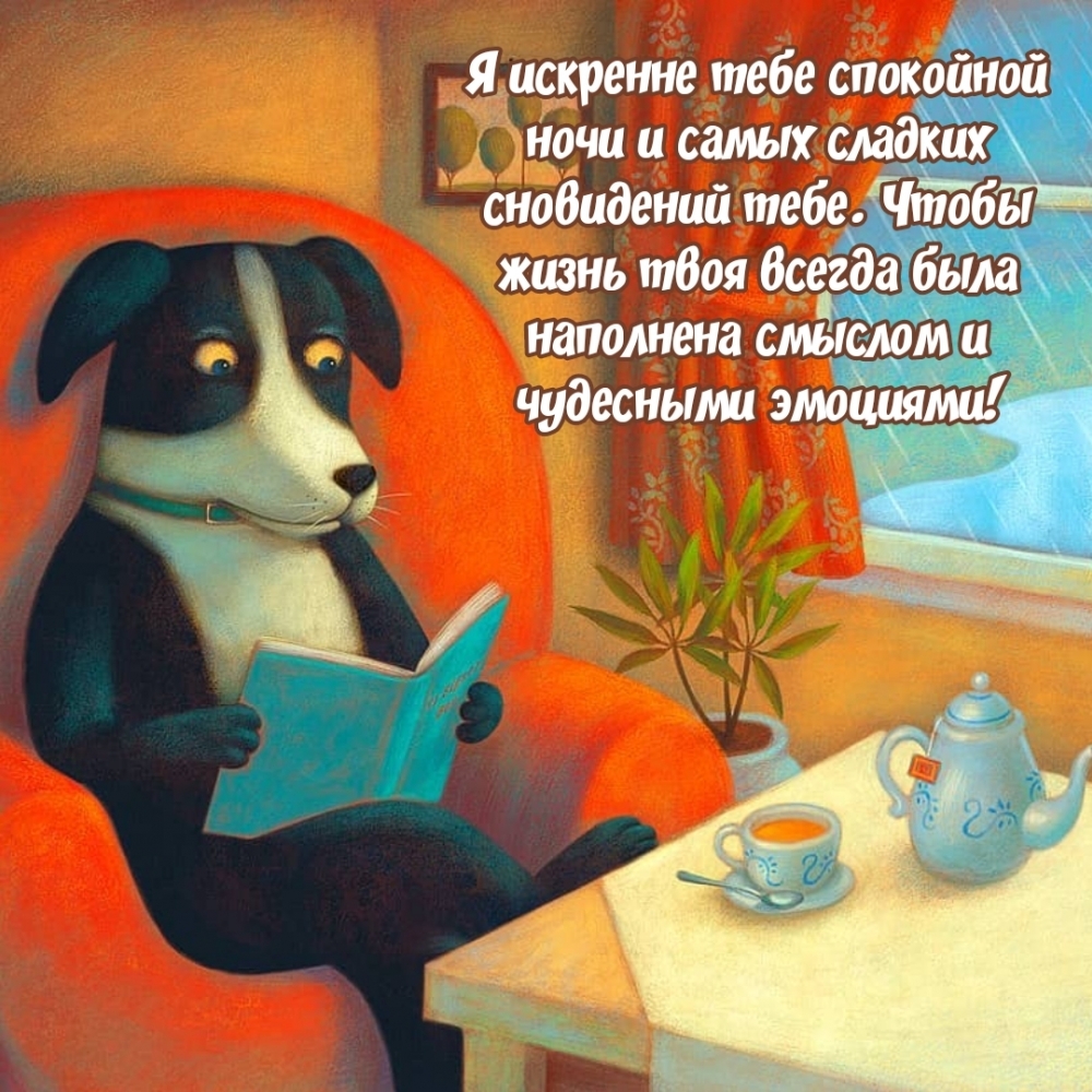 Я искренне тебе спокойной ночи и самых сладких сновидений тебе.