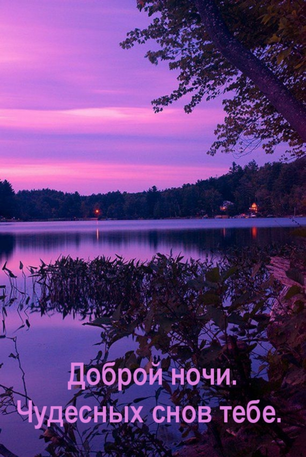 Доброй ночи. Чудесных снов тебе.