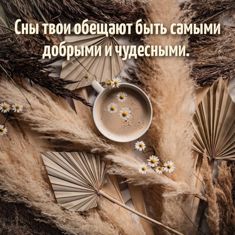 Сны твои обещают быть самыми добрыми и чудесными.