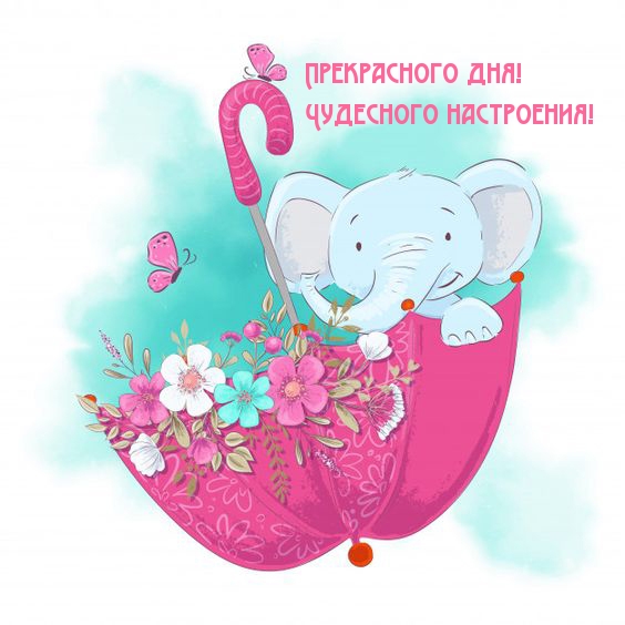 Прекрасного дня! Чудесного настроения!