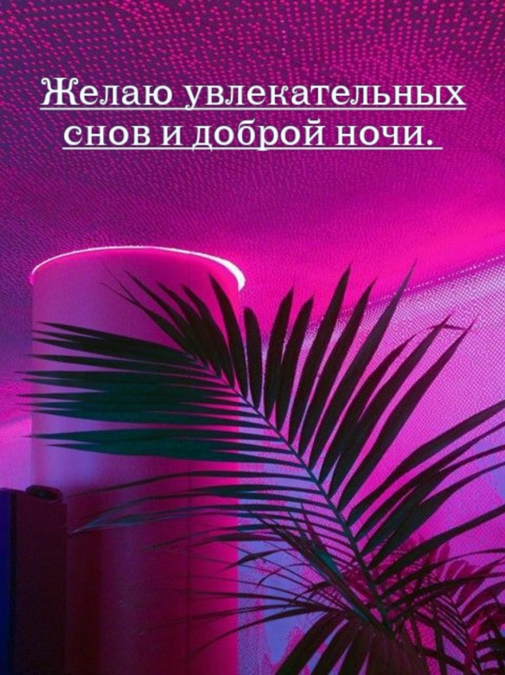Желаю увлекательных снов и доброй ночи.
