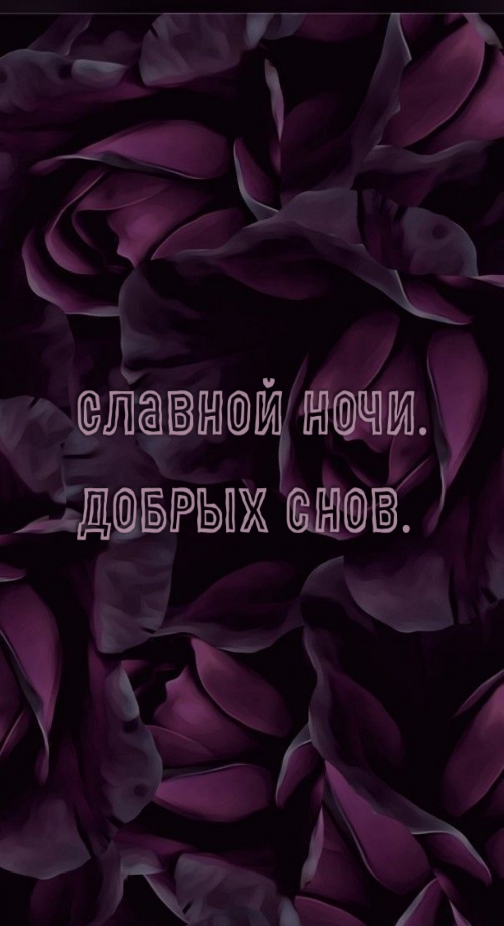 Славной ночи. Добрых снов.