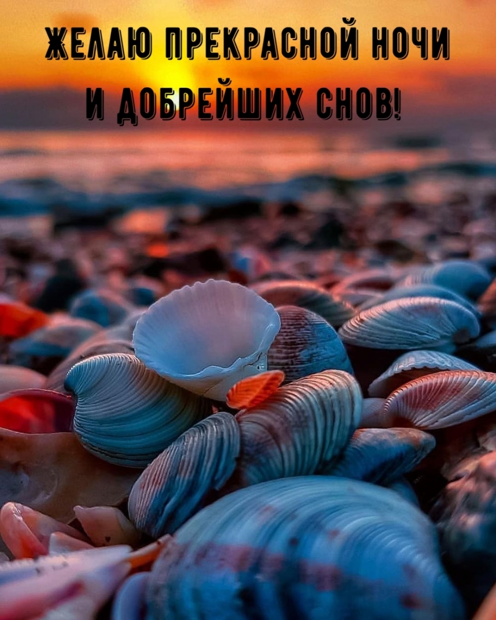 Желаю прекрасной ночи и добрейших снов!