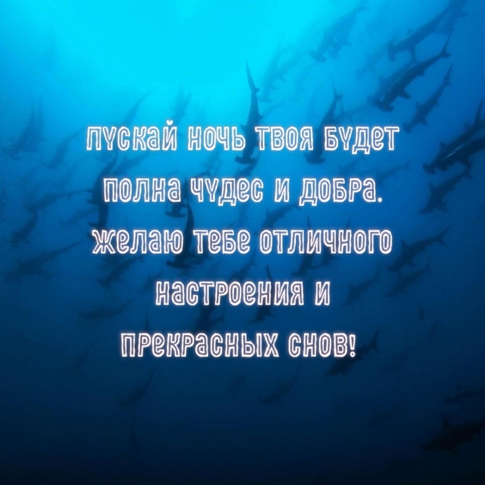 Пускай ночь твоя будет полна чудес и добра.