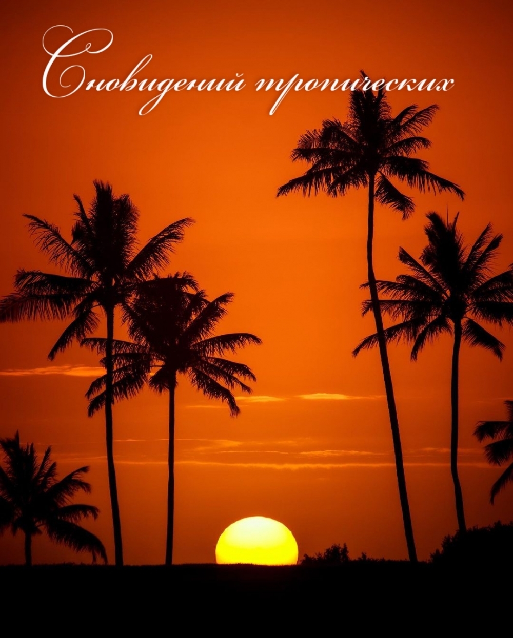 Сновидений тропических