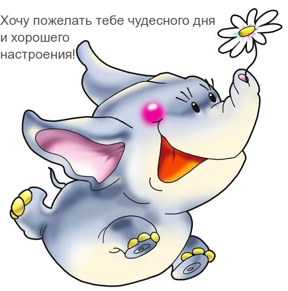 Хочу пожелать тебе чудесного дня и хорошего настроения!