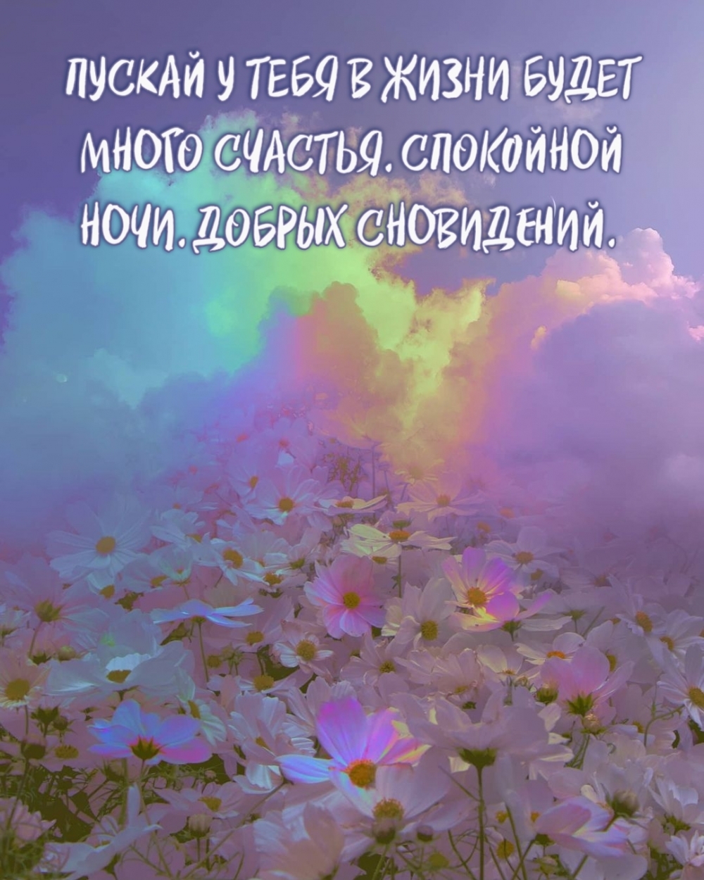 СПОКОЙНОЙ НОЧИ. ДОБРЫХ СНОВИДЕНИЙ.