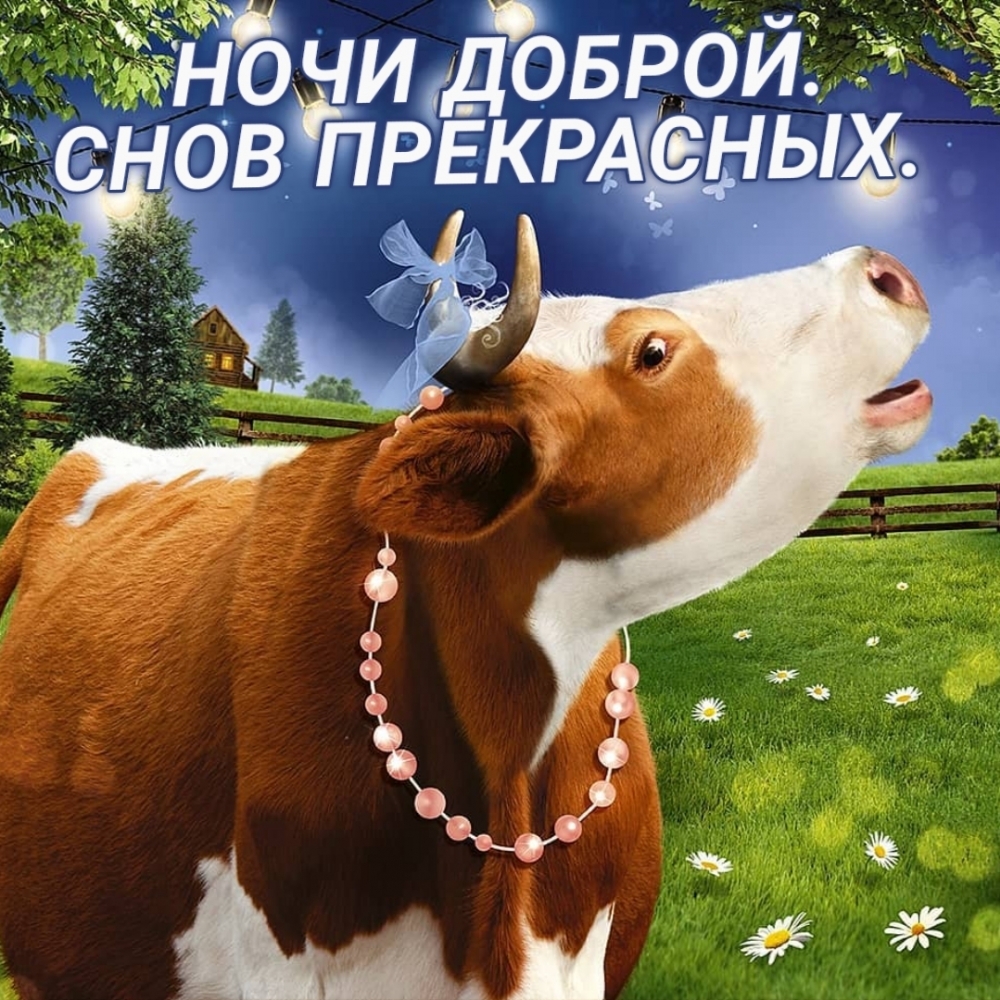 Ночи доброй. Снов прекрасных.