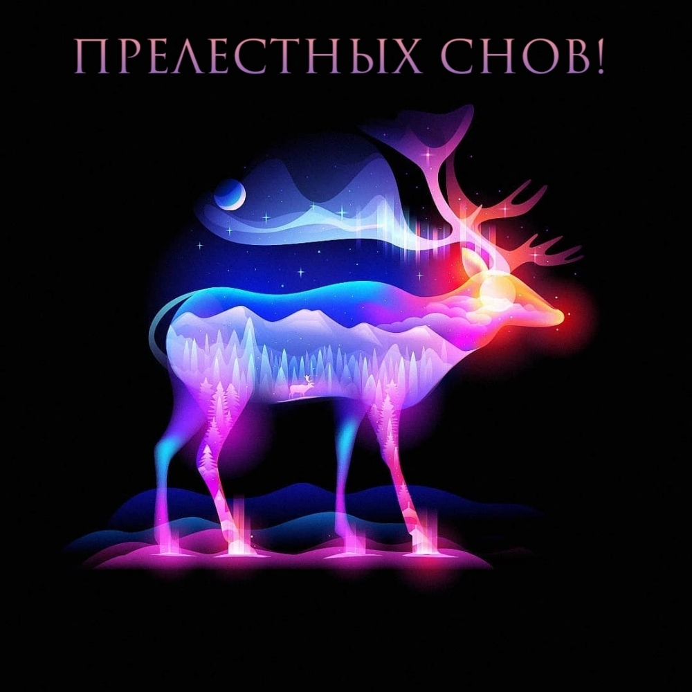 ПРЕЛЕСТНЫХ СНОВ!