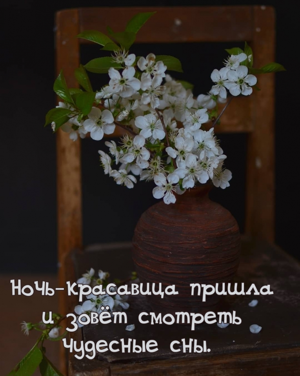 Ночь красавица пришла и зовёт смотреть чудесные сны.