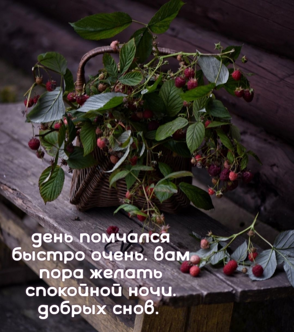 Вам пора желать спокойной ночи. Добрых снов.