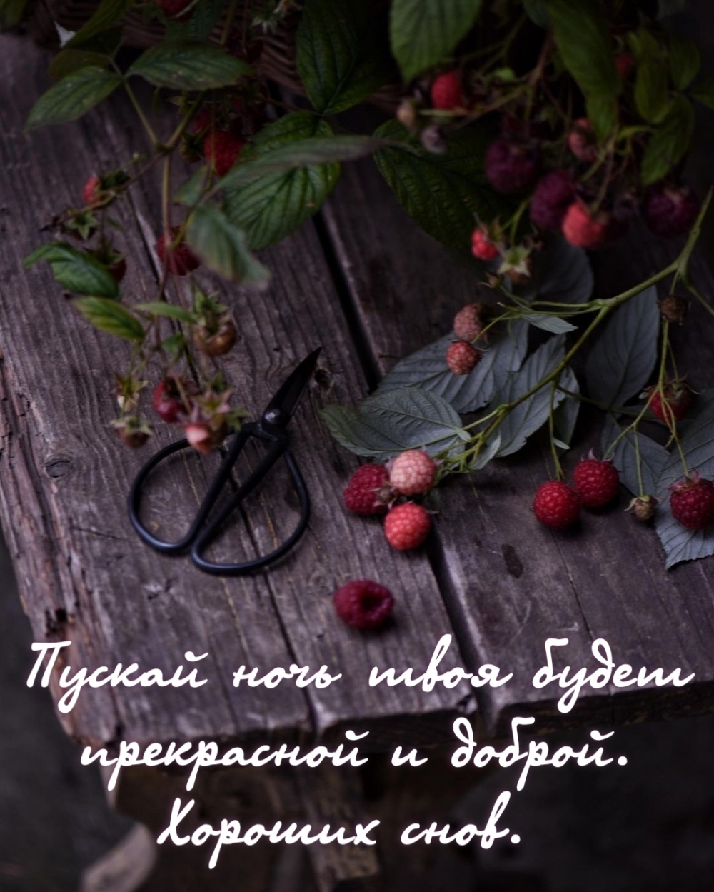 Пускай ночь твоя будет прекрасной и доброй. Хороших снов.