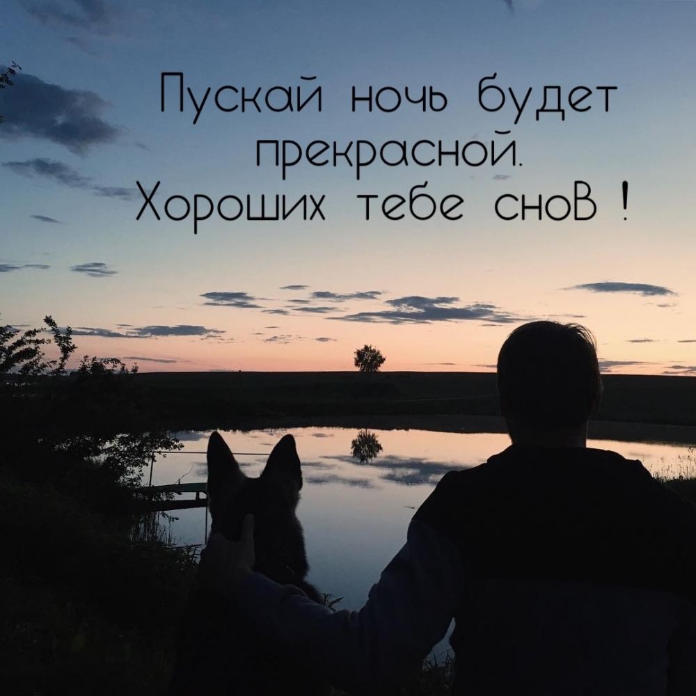 Пускай ночь будет прекрасной. Хороших тебе снов!
